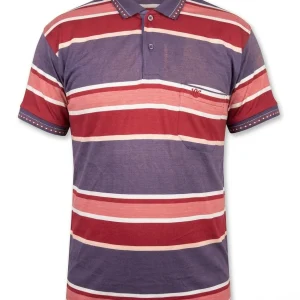 Maroon Purple Stripe Polo